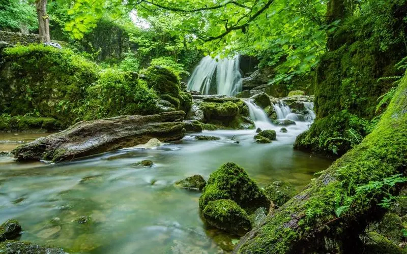 高端智能